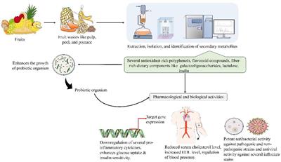 Fruit waste: a current perspective for the sustainable production of pharmacological, nutraceutical, and bioactive resources